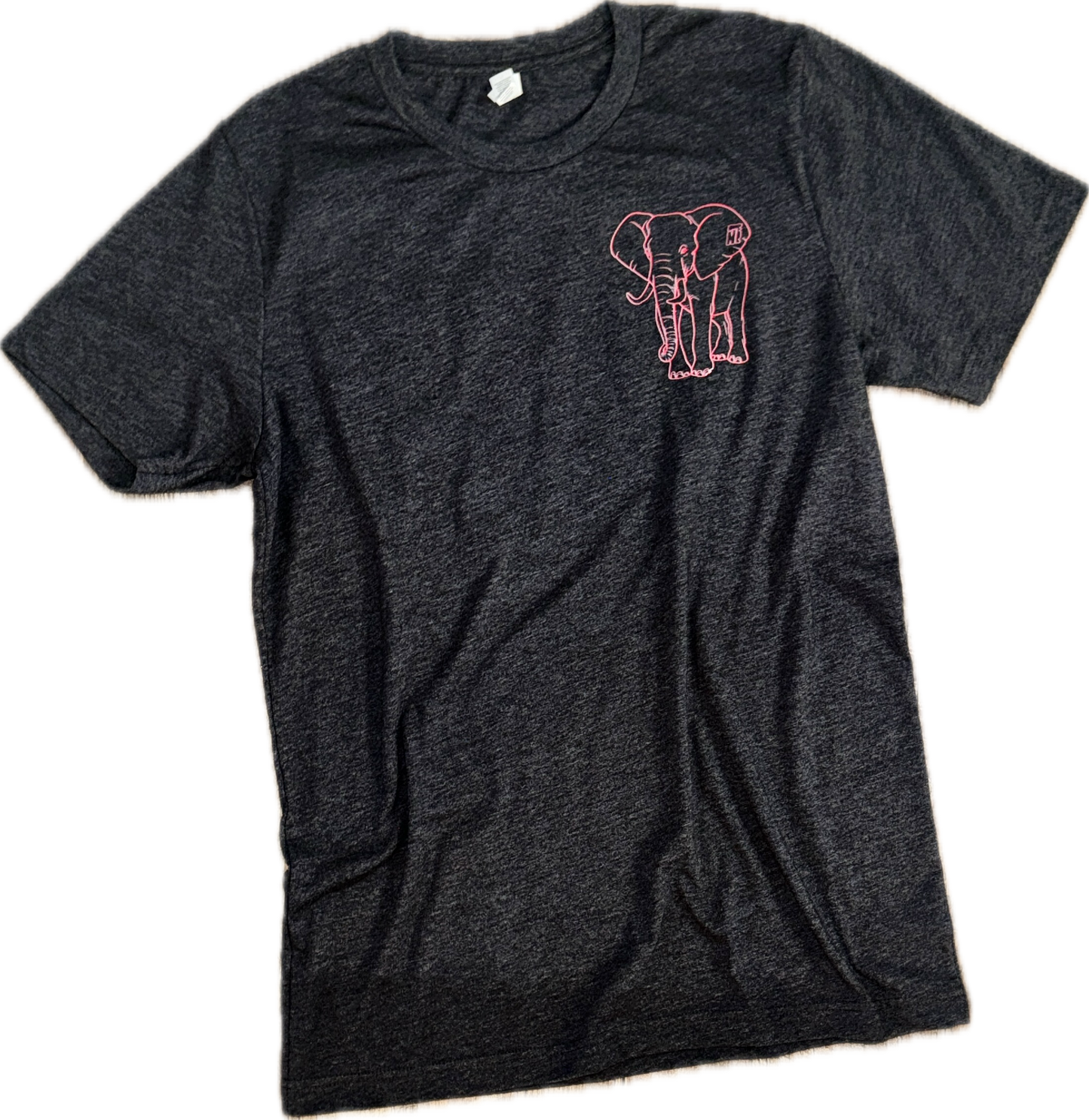 Pretty Girls Vote T Shirt