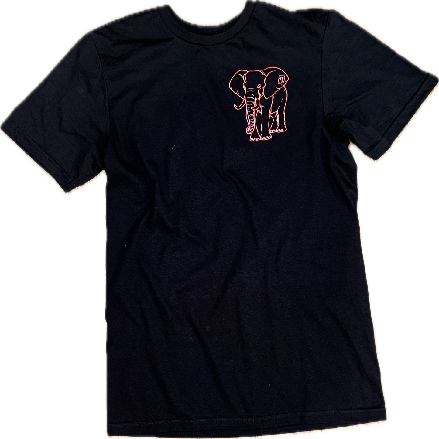 Pretty Girls Vote T Shirt