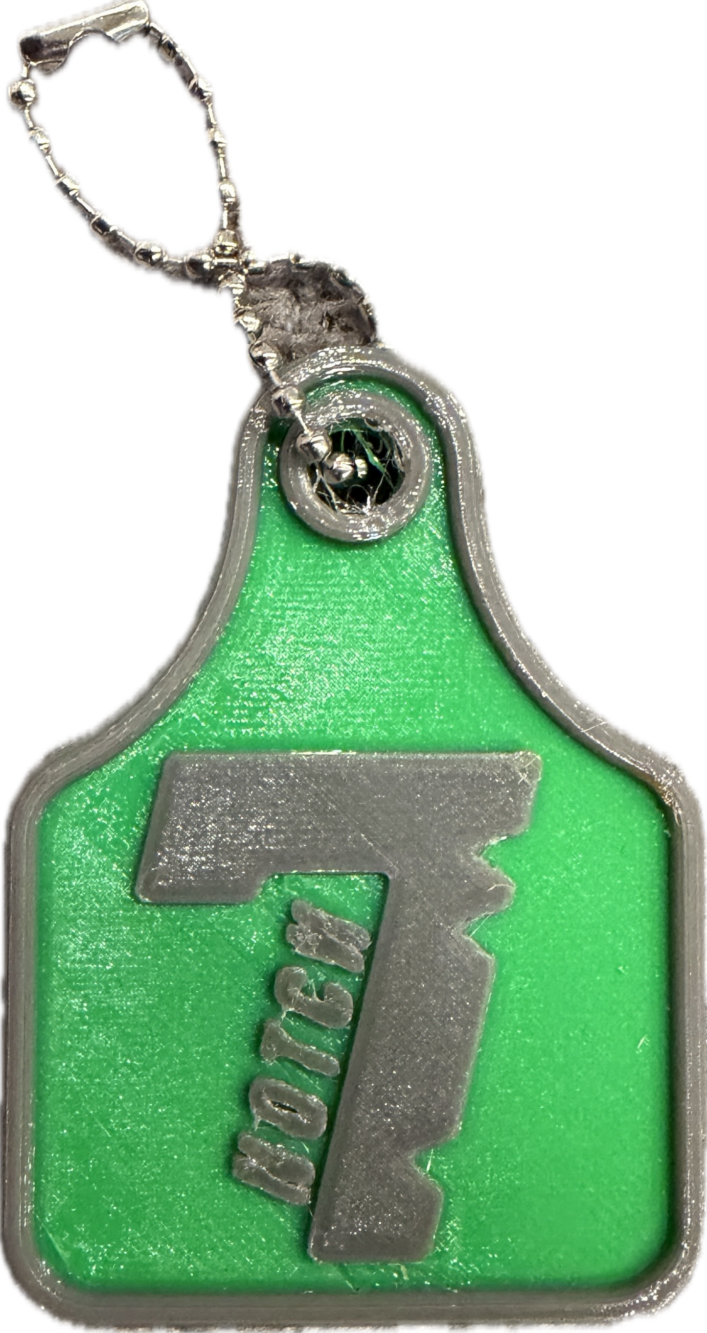 ASST NOTCH 7 KEYCHAINS